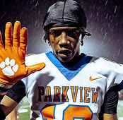 Parkview High School Football